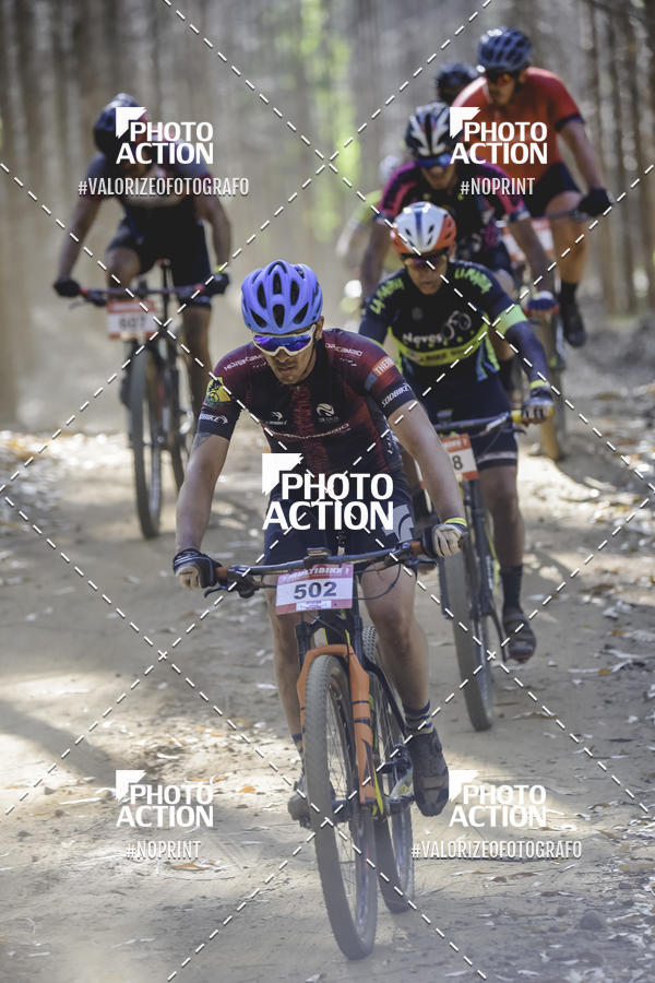 Buy your photos of the event16 Edio Maratona 100Km Canaviais on Fotop