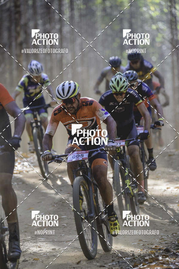 Buy your photos of the event16 Edio Maratona 100Km Canaviais on Fotop
