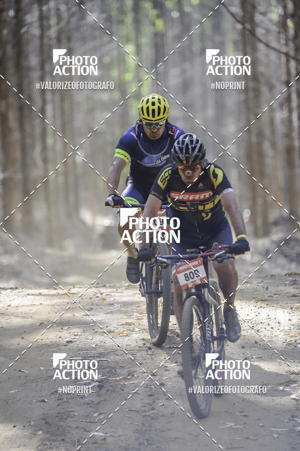 Buy your photos of the event16 Edio Maratona 100Km Canaviais on Fotop