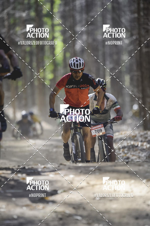 Buy your photos of the event16 Edio Maratona 100Km Canaviais on Fotop