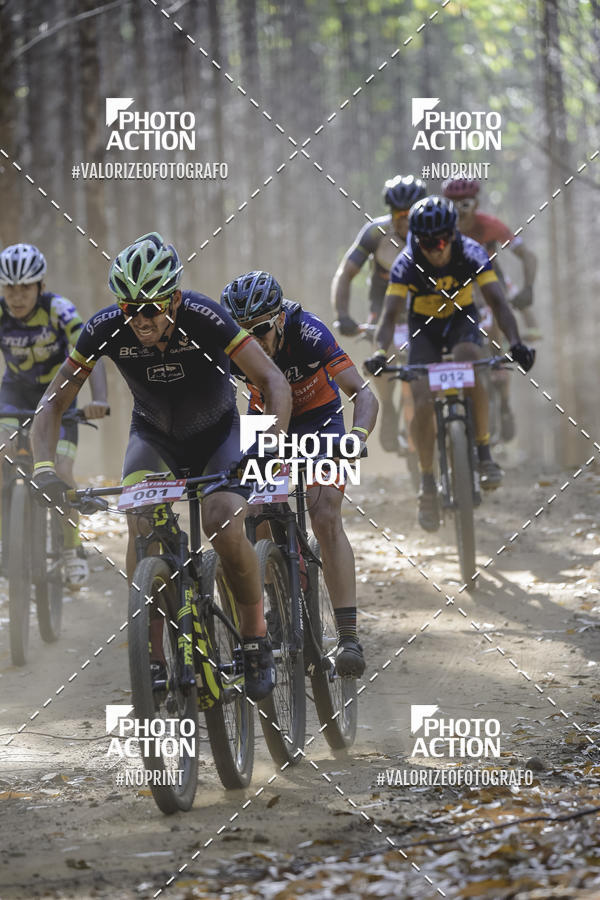 Buy your photos of the event16 Edio Maratona 100Km Canaviais on Fotop