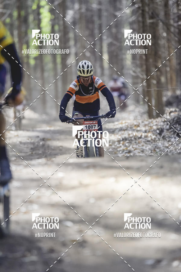 Buy your photos of the event16 Edio Maratona 100Km Canaviais on Fotop