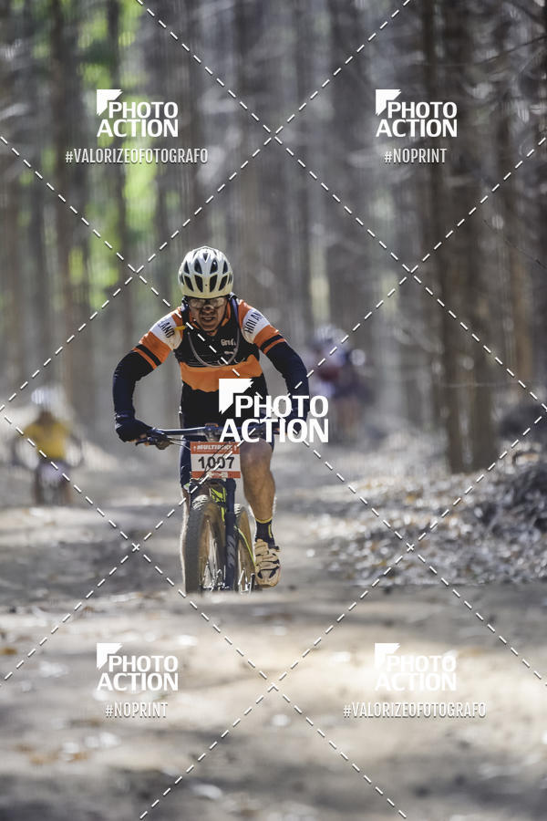 Buy your photos of the event16 Edio Maratona 100Km Canaviais on Fotop