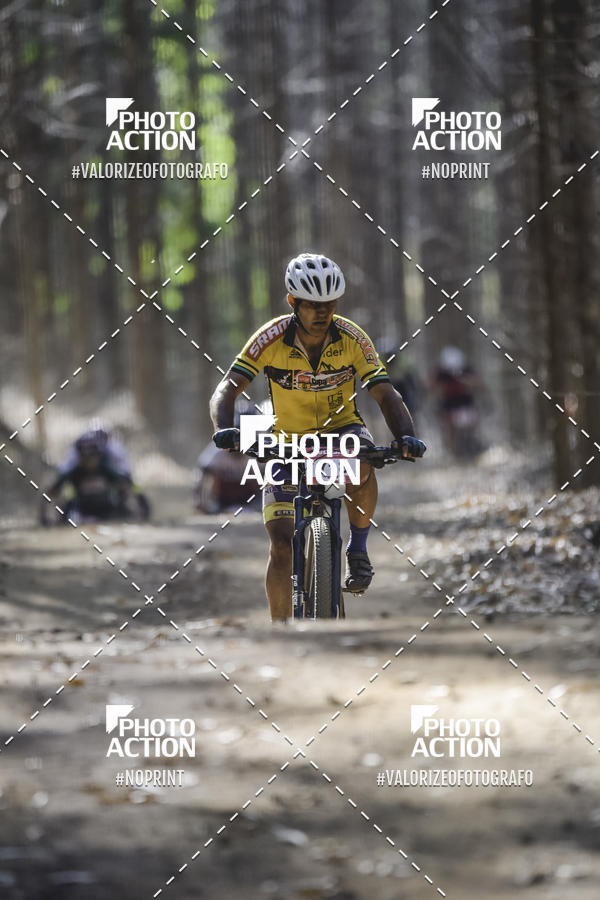 Buy your photos of the event16 Edio Maratona 100Km Canaviais on Fotop