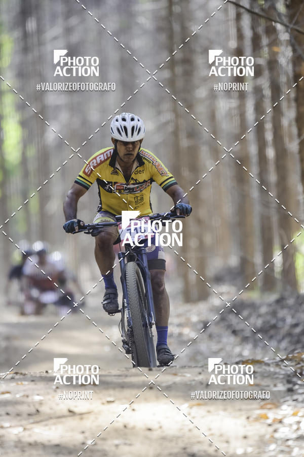 Buy your photos of the event16 Edio Maratona 100Km Canaviais on Fotop