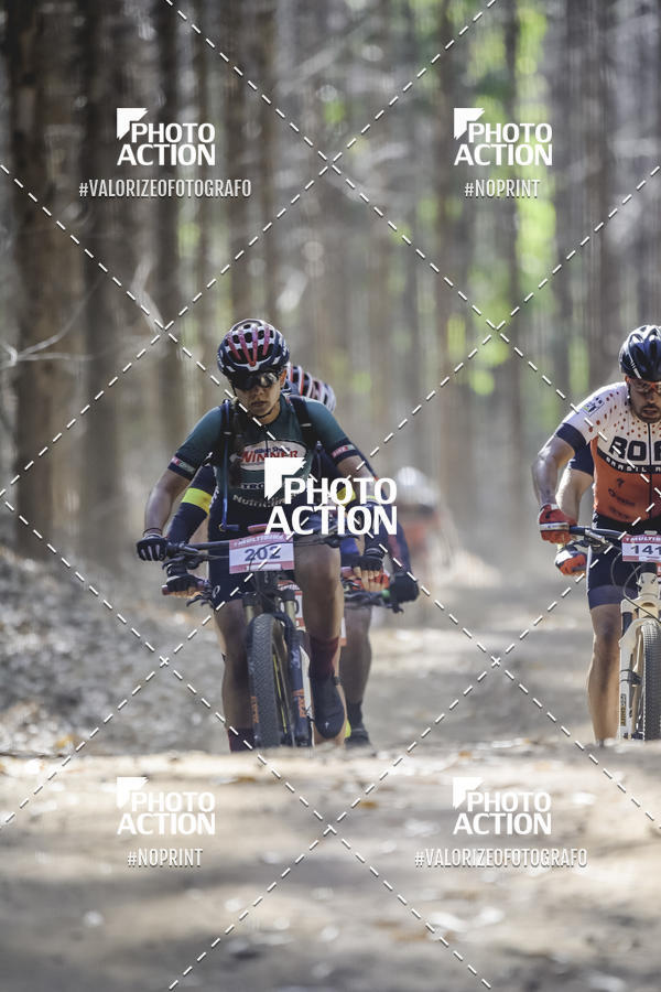 Buy your photos of the event16 Edio Maratona 100Km Canaviais on Fotop