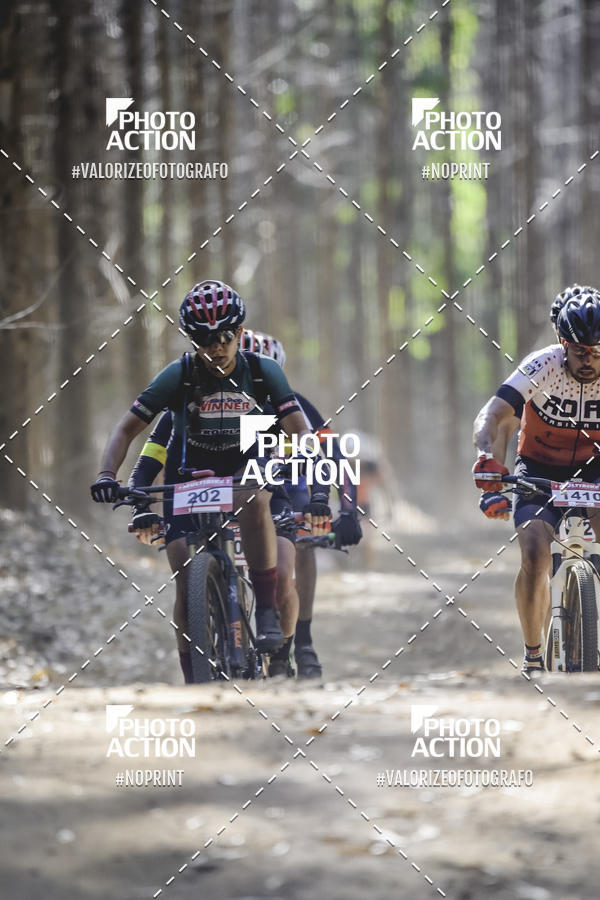 Buy your photos of the event16 Edio Maratona 100Km Canaviais on Fotop