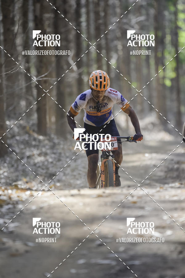 Buy your photos of the event16 Edio Maratona 100Km Canaviais on Fotop