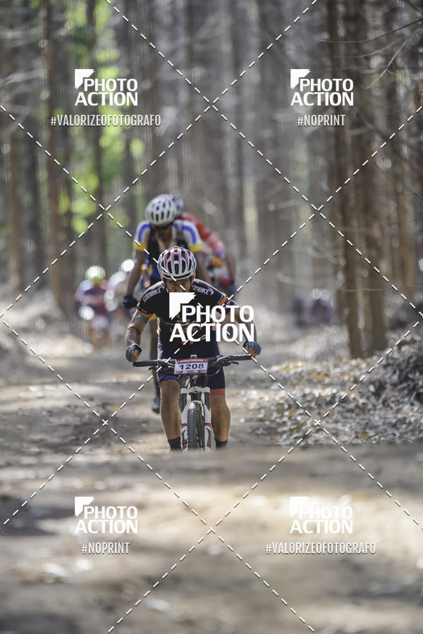 Buy your photos of the event16 Edio Maratona 100Km Canaviais on Fotop