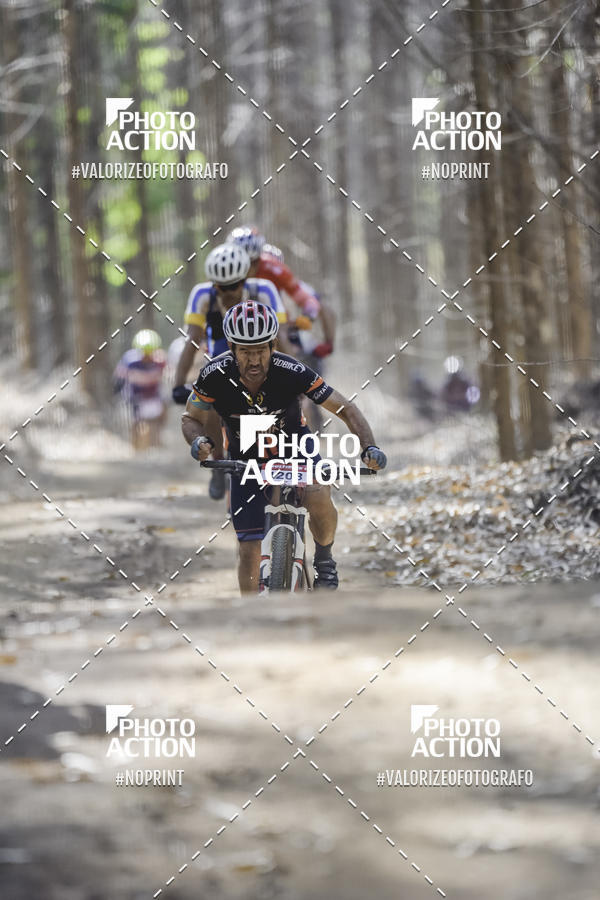 Buy your photos of the event16 Edio Maratona 100Km Canaviais on Fotop