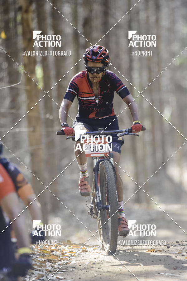 Buy your photos of the event16 Edio Maratona 100Km Canaviais on Fotop