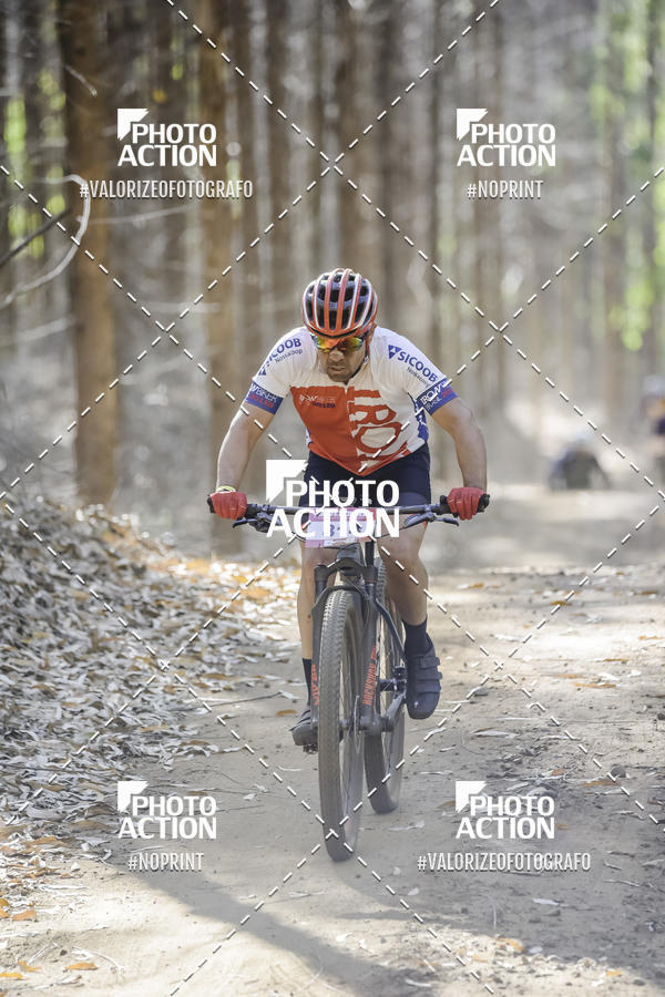 Buy your photos of the event16 Edio Maratona 100Km Canaviais on Fotop