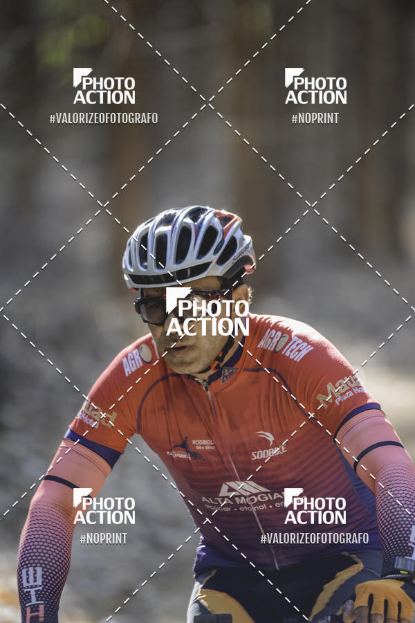 Buy your photos of the event16 Edio Maratona 100Km Canaviais on Fotop