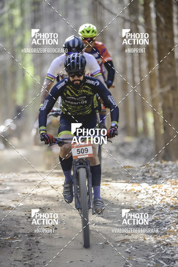 Buy your photos of the event16 Edio Maratona 100Km Canaviais on Fotop