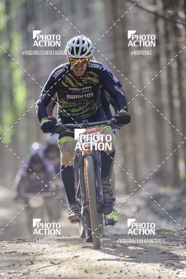 Buy your photos of the event16 Edio Maratona 100Km Canaviais on Fotop