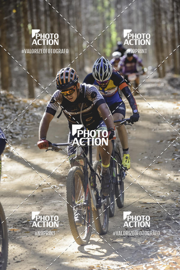 Buy your photos of the event16 Edio Maratona 100Km Canaviais on Fotop
