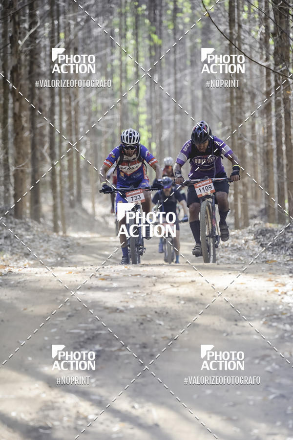 Buy your photos of the event16 Edio Maratona 100Km Canaviais on Fotop