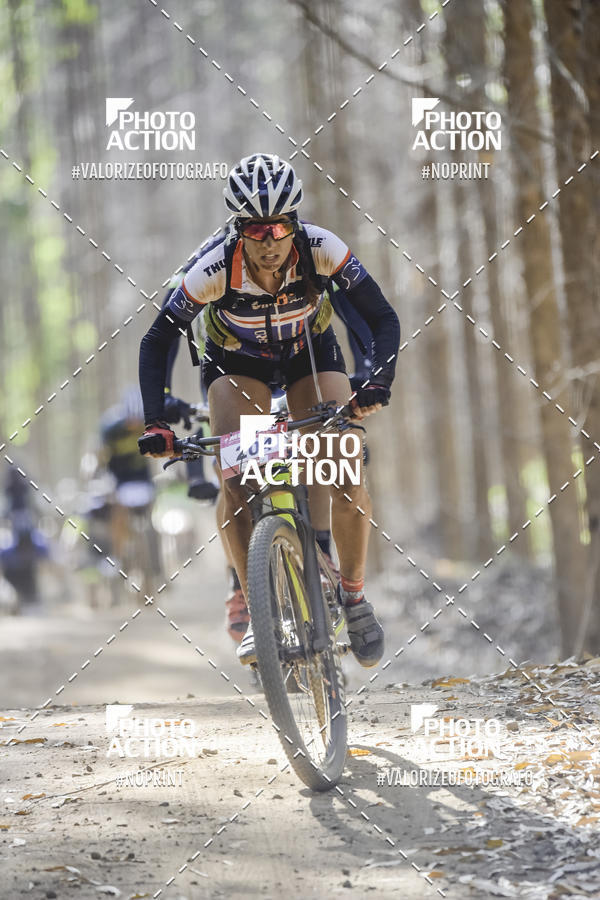 Buy your photos of the event16 Edio Maratona 100Km Canaviais on Fotop