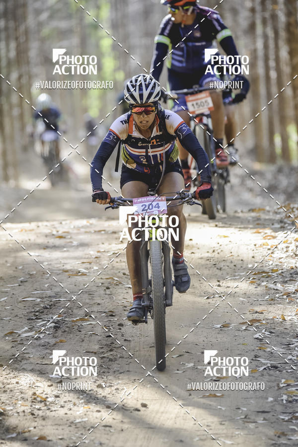 Buy your photos of the event16 Edio Maratona 100Km Canaviais on Fotop