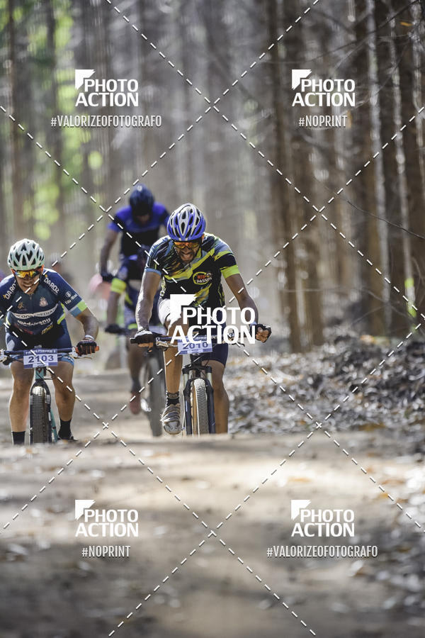 Buy your photos of the event16 Edio Maratona 100Km Canaviais on Fotop
