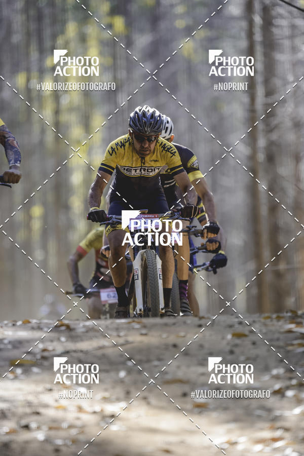 Buy your photos of the event16 Edio Maratona 100Km Canaviais on Fotop