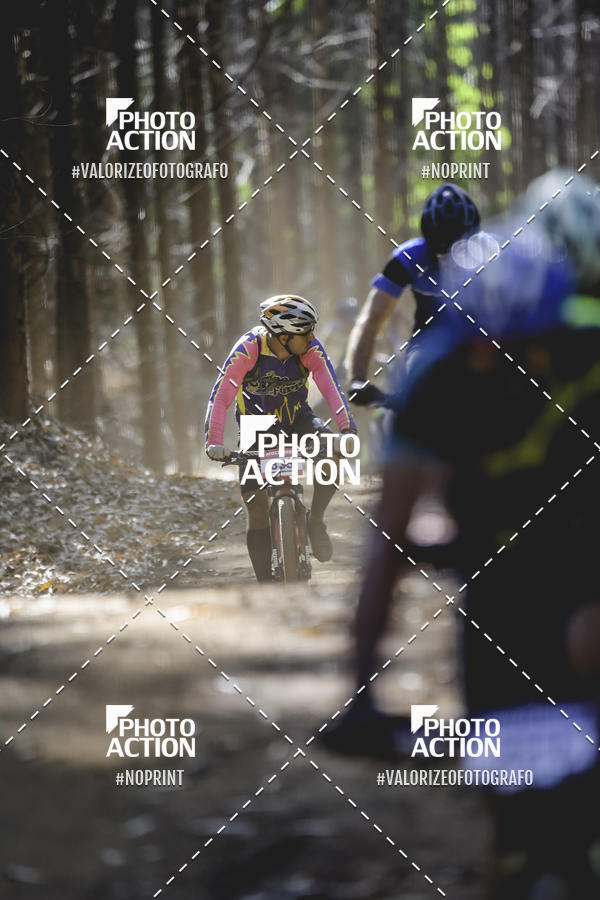 Buy your photos of the event16 Edio Maratona 100Km Canaviais on Fotop