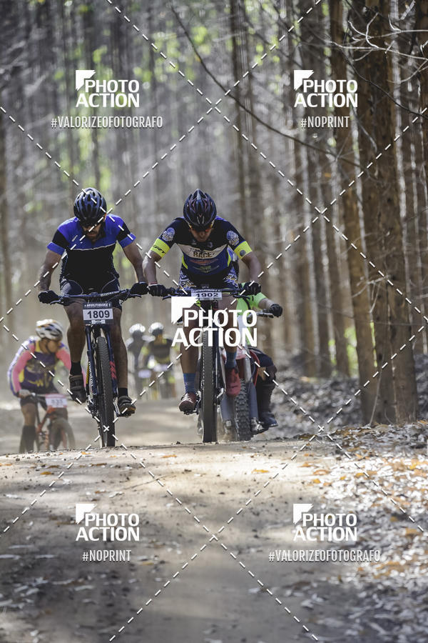 Buy your photos of the event16 Edio Maratona 100Km Canaviais on Fotop