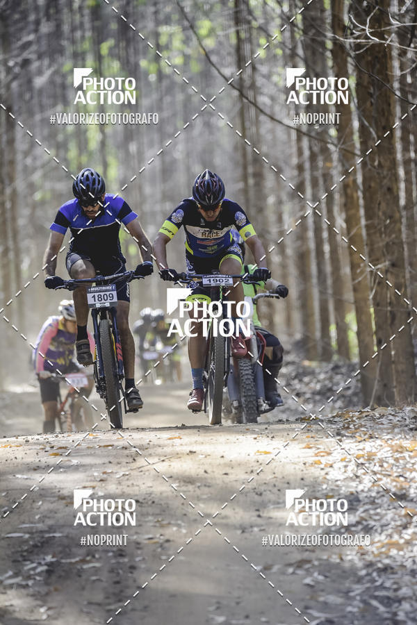 Buy your photos of the event16 Edio Maratona 100Km Canaviais on Fotop