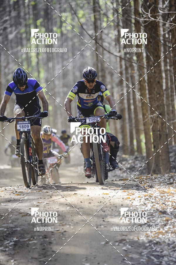 Buy your photos of the event16 Edio Maratona 100Km Canaviais on Fotop