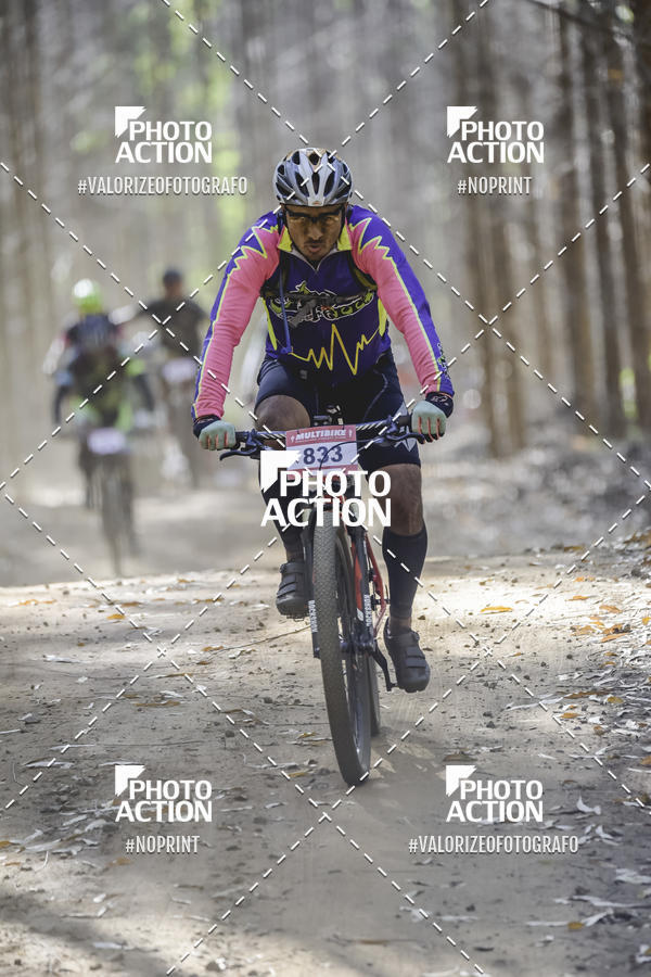 Buy your photos of the event16 Edio Maratona 100Km Canaviais on Fotop