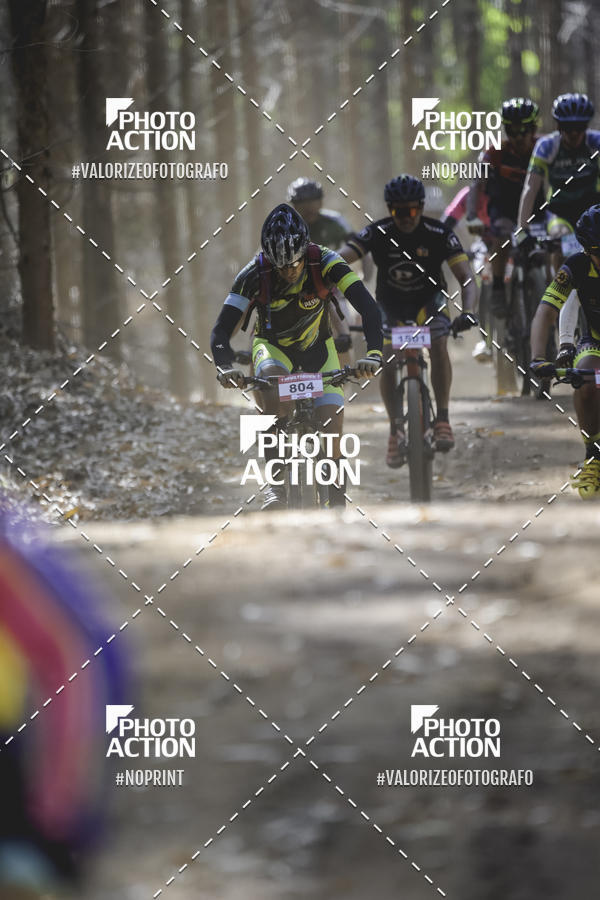 Buy your photos of the event16 Edio Maratona 100Km Canaviais on Fotop