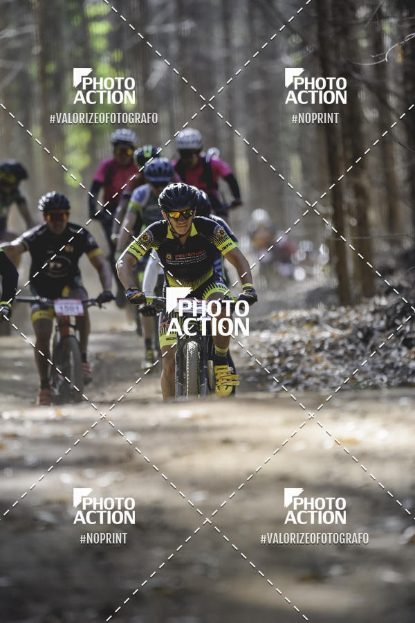 Buy your photos of the event16 Edio Maratona 100Km Canaviais on Fotop