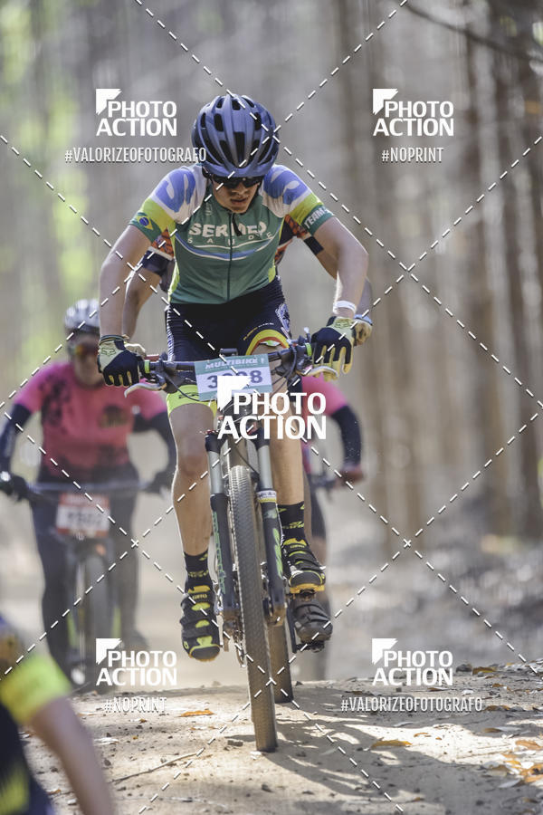 Buy your photos of the event16 Edio Maratona 100Km Canaviais on Fotop