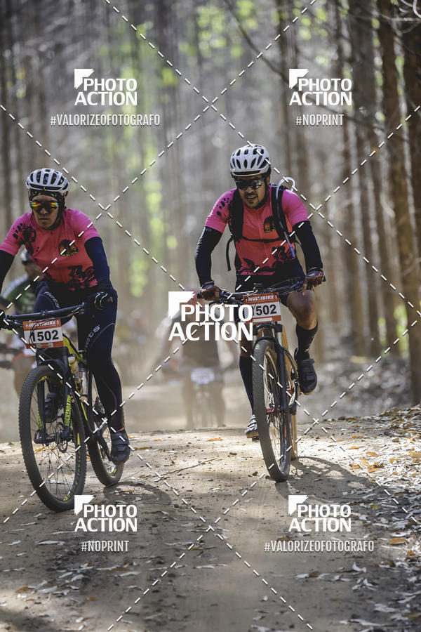 Buy your photos of the event16 Edio Maratona 100Km Canaviais on Fotop