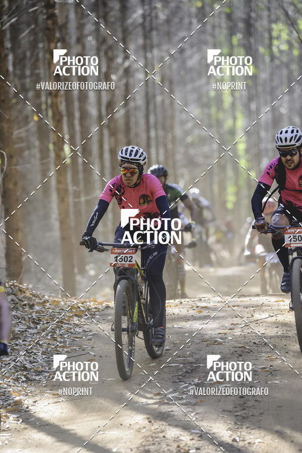 Buy your photos of the event16 Edio Maratona 100Km Canaviais on Fotop