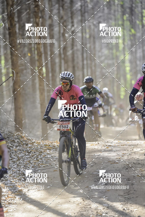 Buy your photos of the event16 Edio Maratona 100Km Canaviais on Fotop
