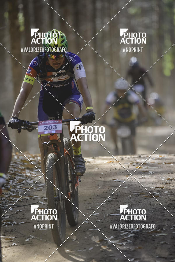 Buy your photos of the event16 Edio Maratona 100Km Canaviais on Fotop
