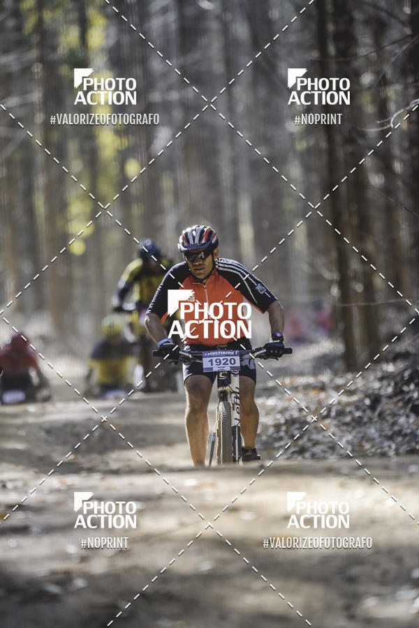 Buy your photos of the event16 Edio Maratona 100Km Canaviais on Fotop