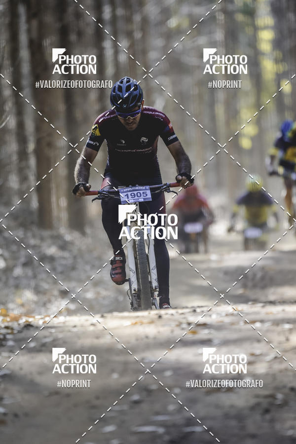 Buy your photos of the event16 Edio Maratona 100Km Canaviais on Fotop