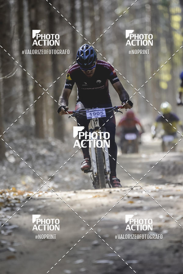 Buy your photos of the event16 Edio Maratona 100Km Canaviais on Fotop