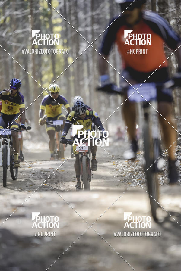 Buy your photos of the event16 Edio Maratona 100Km Canaviais on Fotop