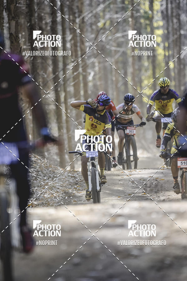 Buy your photos of the event16 Edio Maratona 100Km Canaviais on Fotop