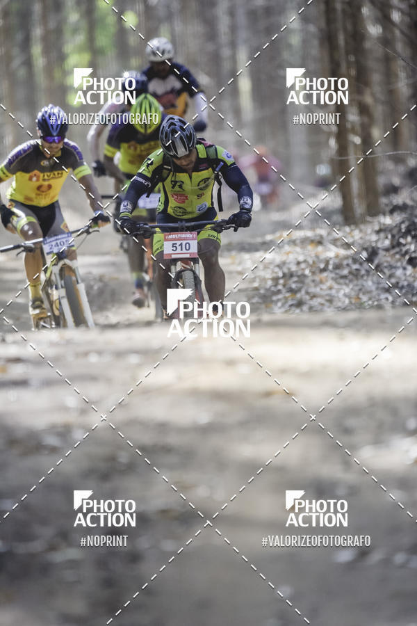Buy your photos of the event16 Edio Maratona 100Km Canaviais on Fotop
