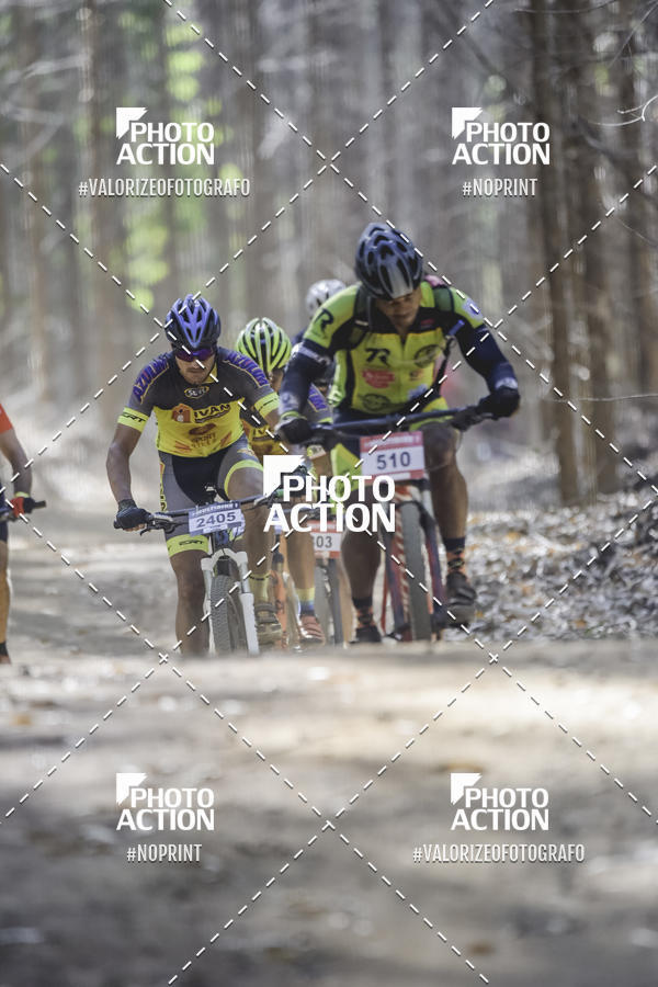 Buy your photos of the event16 Edio Maratona 100Km Canaviais on Fotop