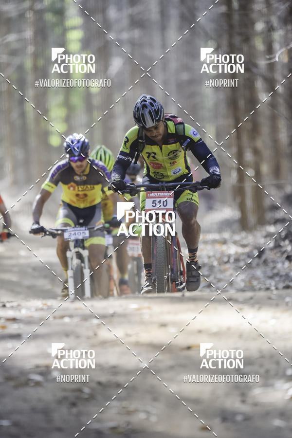Buy your photos of the event16 Edio Maratona 100Km Canaviais on Fotop