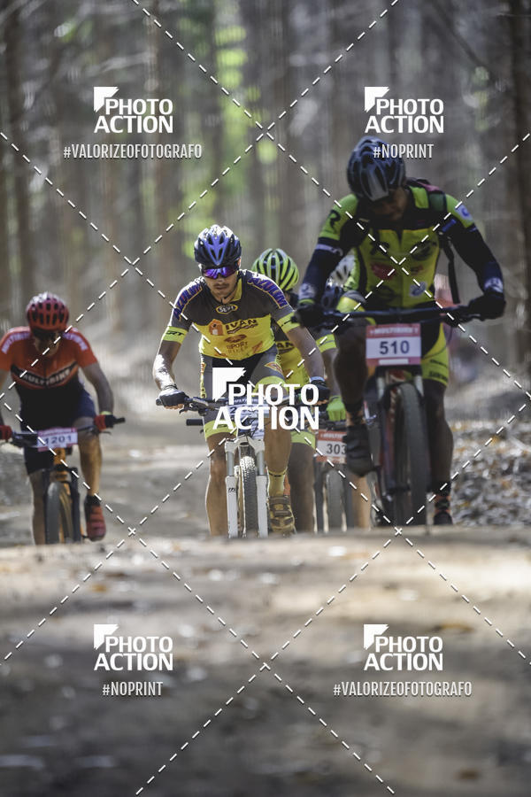 Buy your photos of the event16 Edio Maratona 100Km Canaviais on Fotop