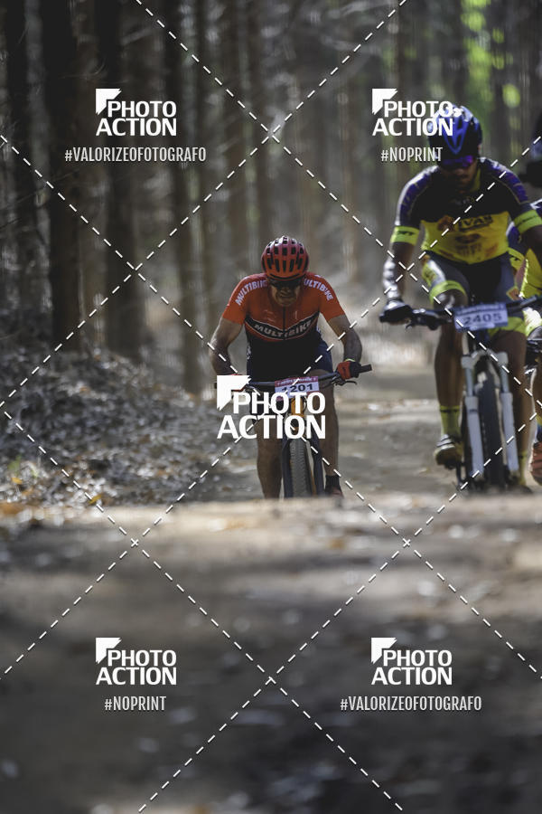 Buy your photos of the event16 Edio Maratona 100Km Canaviais on Fotop