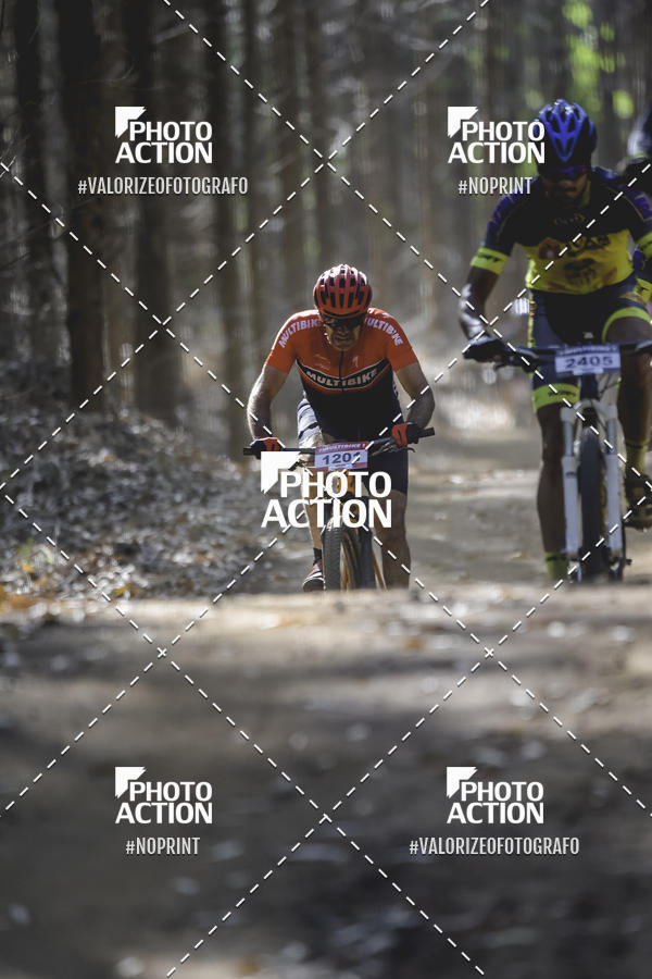 Buy your photos of the event16 Edio Maratona 100Km Canaviais on Fotop
