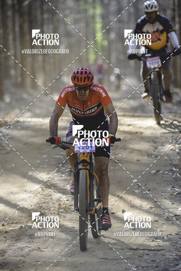 Buy your photos of the event16 Edio Maratona 100Km Canaviais on Fotop