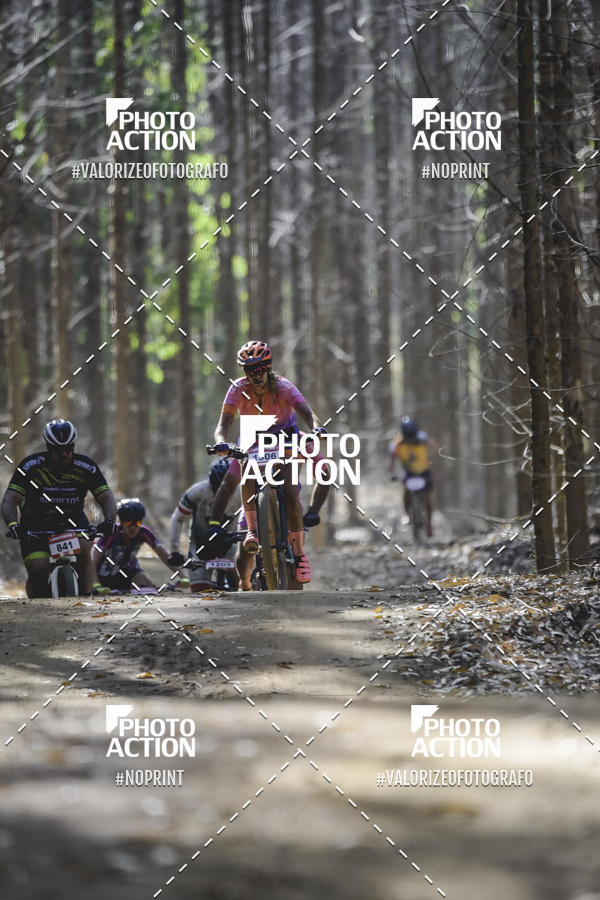 Buy your photos of the event16 Edio Maratona 100Km Canaviais on Fotop